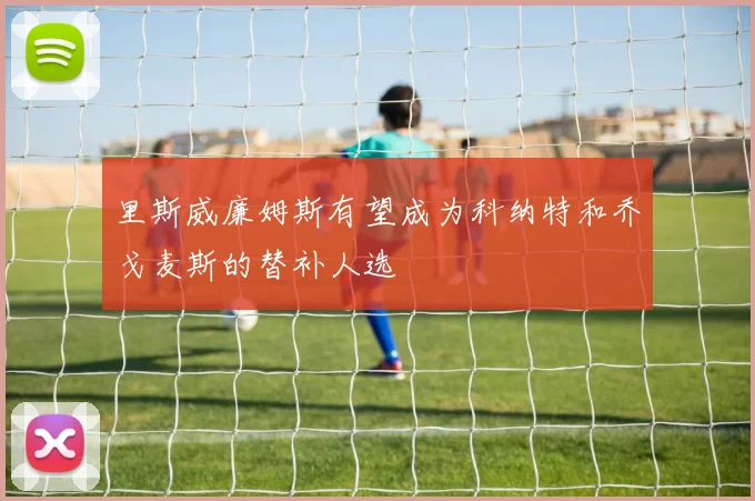 里斯威廉姆斯有望成为科纳特和乔戈麦斯的替补人选