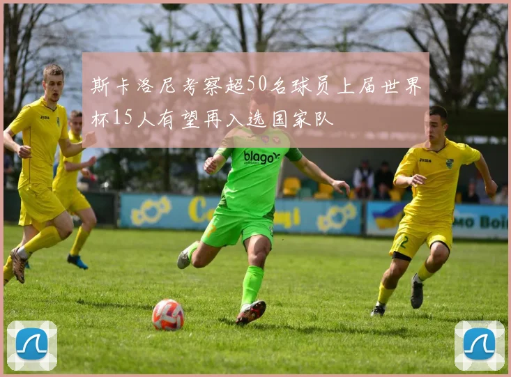 斯卡洛尼考察超50名球员上届世界杯15人有望再入选国家队
